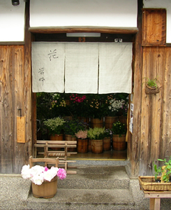 花・谷中の外観